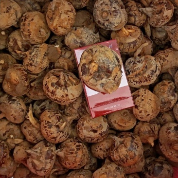 广西马蹄，荸荠，珍珠马蹄，水果马蹄