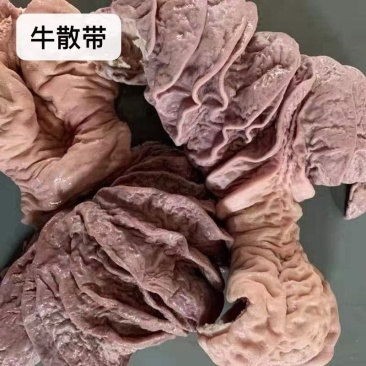 牛散带