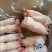 源宏纯干猪手猪蹄厂家直发规格齐全量大优惠品质保障