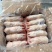 源宏纯干猪手猪蹄厂家直发规格齐全量大优惠品质保障