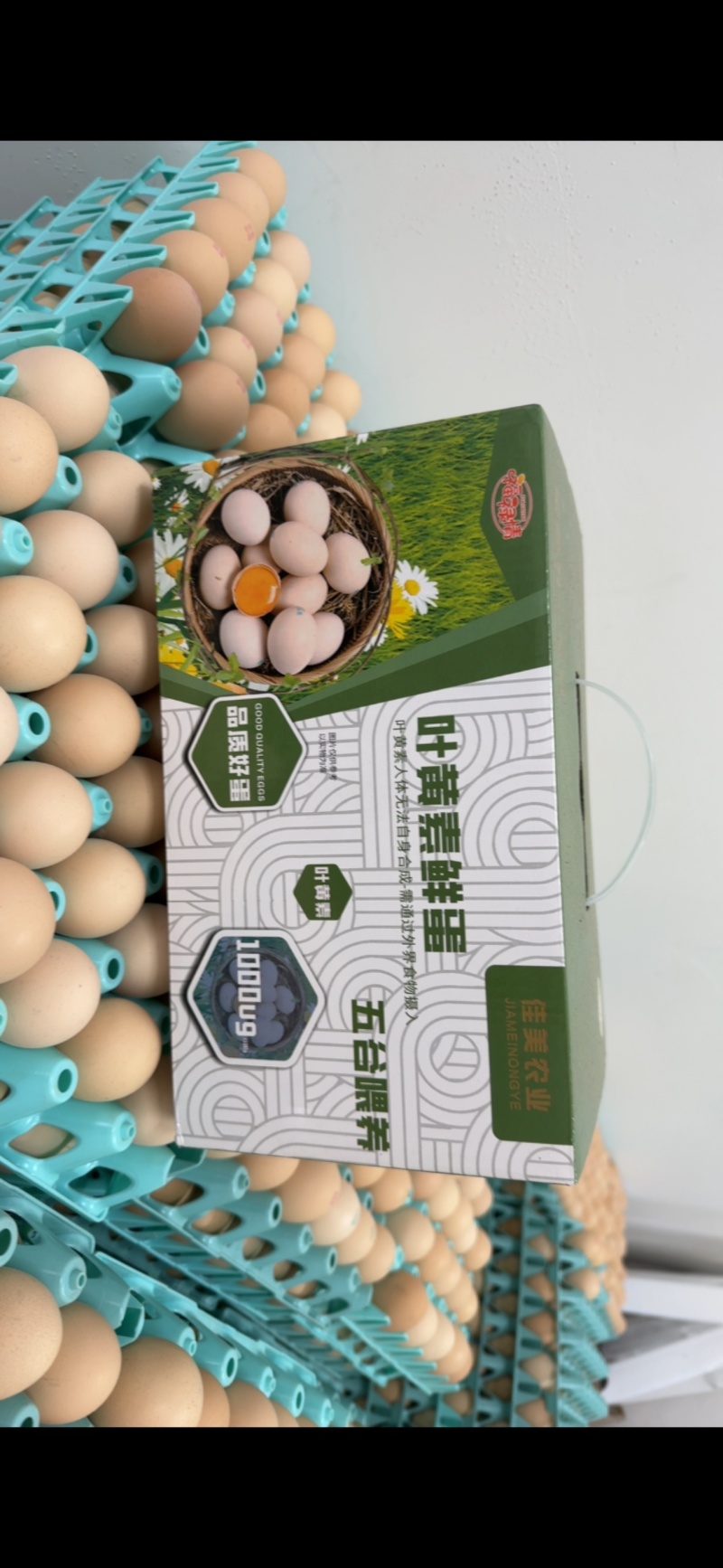 福剧情叶黄素鸡蛋