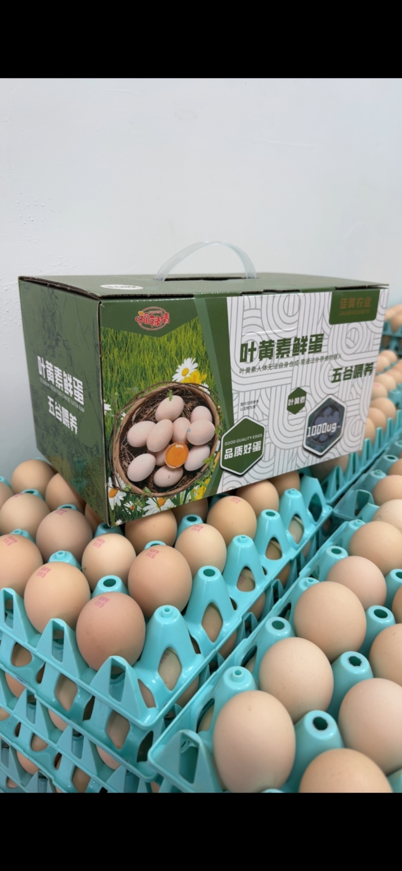 福剧情叶黄素鸡蛋