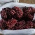 克伦生无籽葡萄产地直采！！！冷库大量有货！！！
