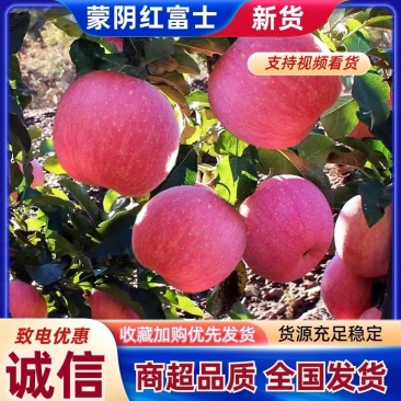 山东蒙阴红富士苹果产地直发，脆甜多汁，可视频看货欢迎来电