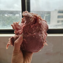 【猪头肉】熟核桃肉，量大价格来谈。