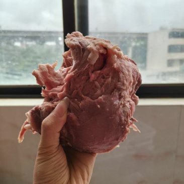 【猪头肉】熟核桃肉，量大价格来谈。