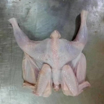 工厂直发西装鸡