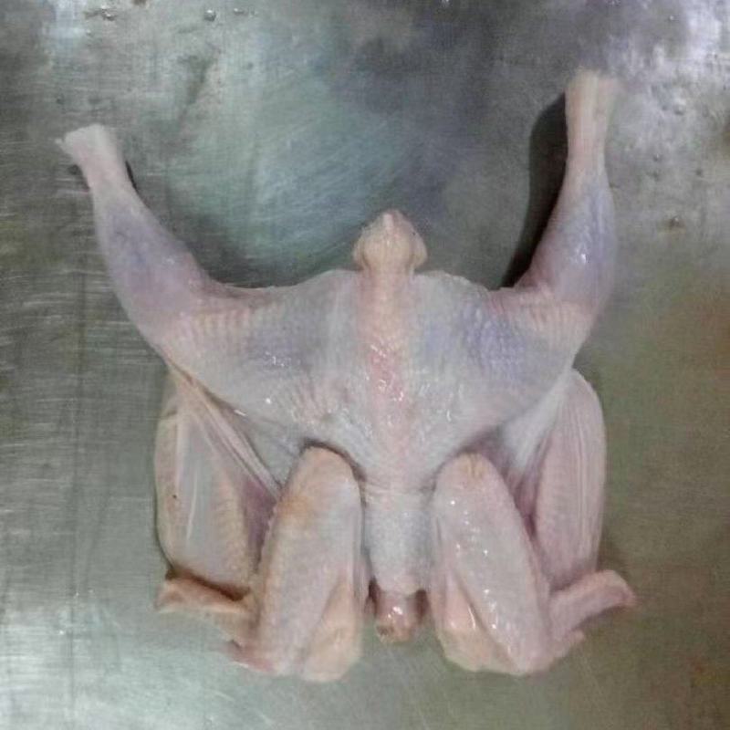 工厂直发西装鸡