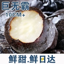 冻梨子花盖梨冻秋梨大黑梨苹果梨酸甜冻梨