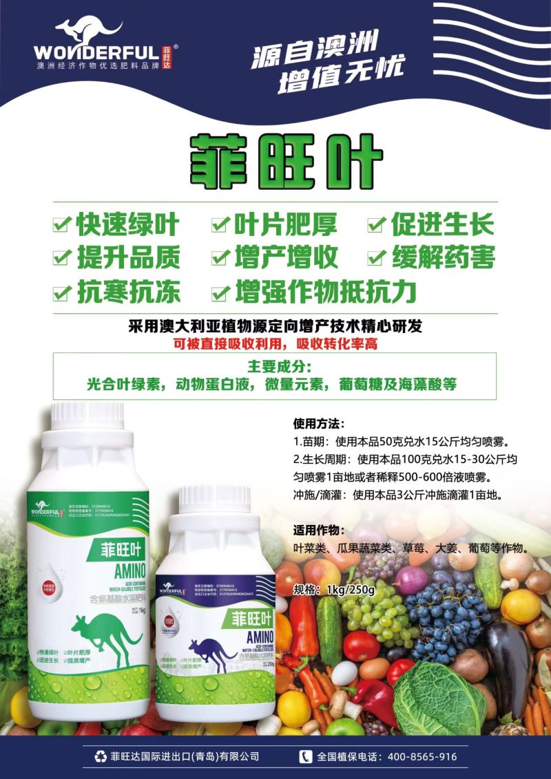 菲旺叶氨基酸叶面肥