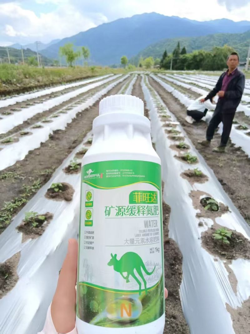 菲旺叶氨基酸叶面肥