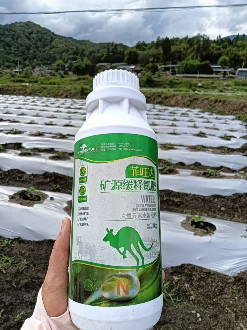 菲旺叶氨基酸叶面肥