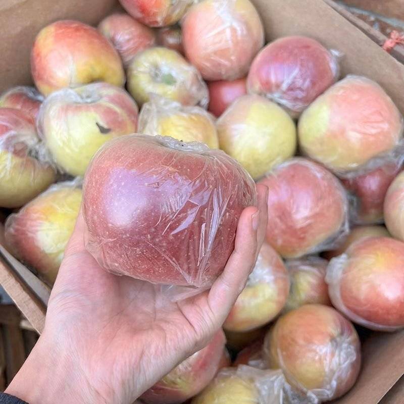 陕西膜袋富士苹果冰糖心苹果一件代发