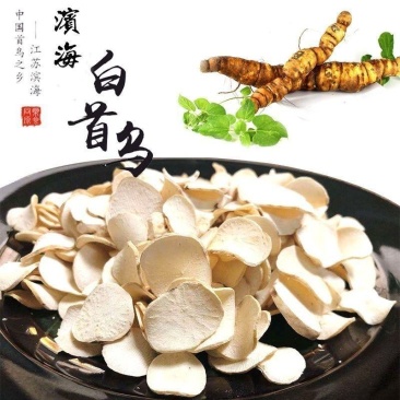 白首乌现货干货粉都有对接全国一手货源