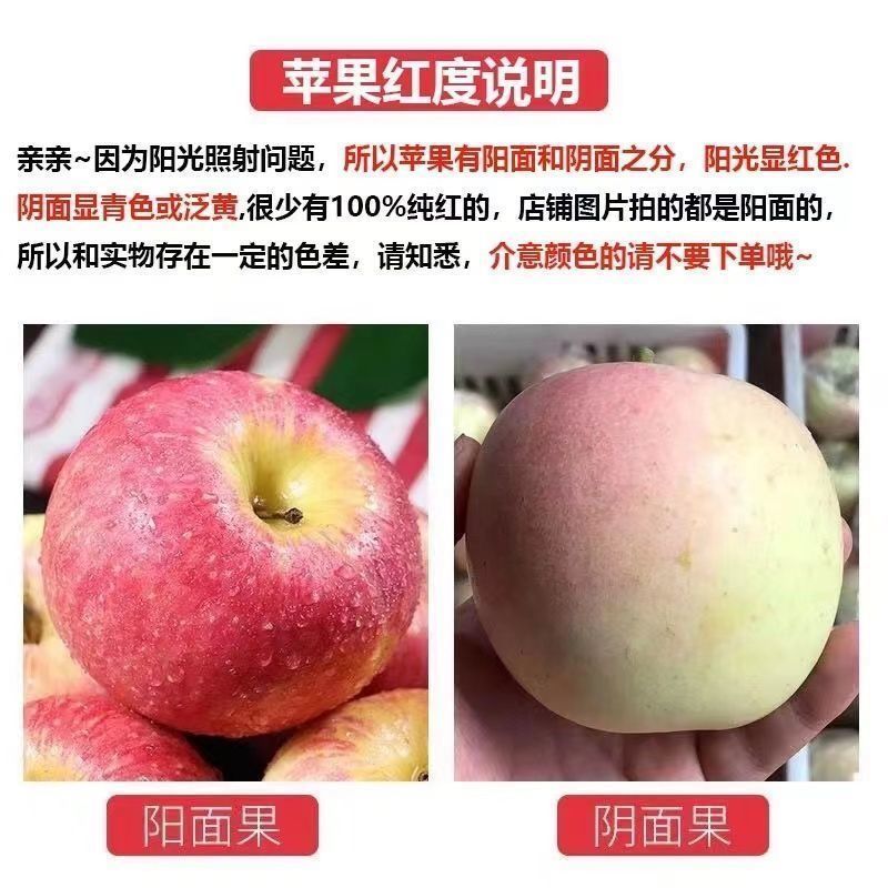 陕西膜袋富士苹果冰糖心苹果一件代发