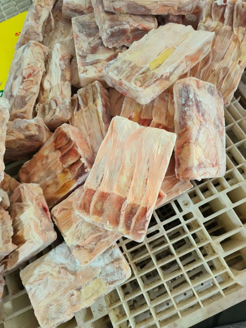 小鸭食带