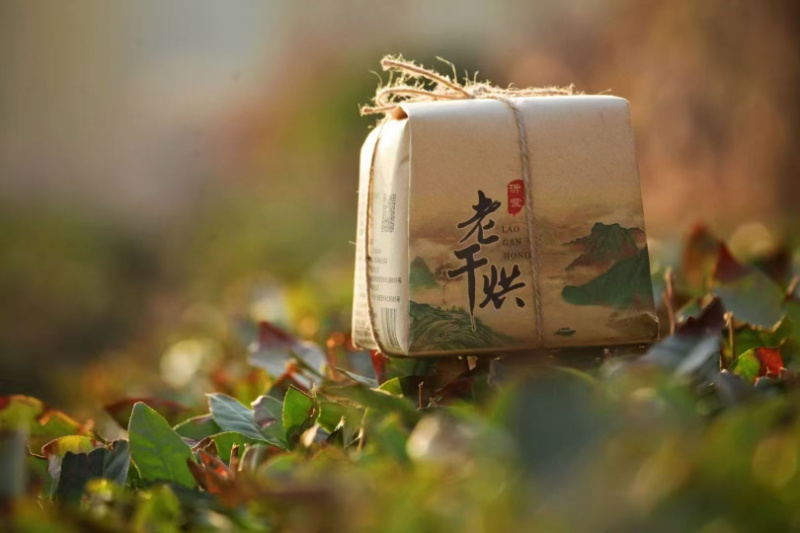 精品沂蒙山特产老干烘茶叶茶厂直发质量保证无中间商赚差价！