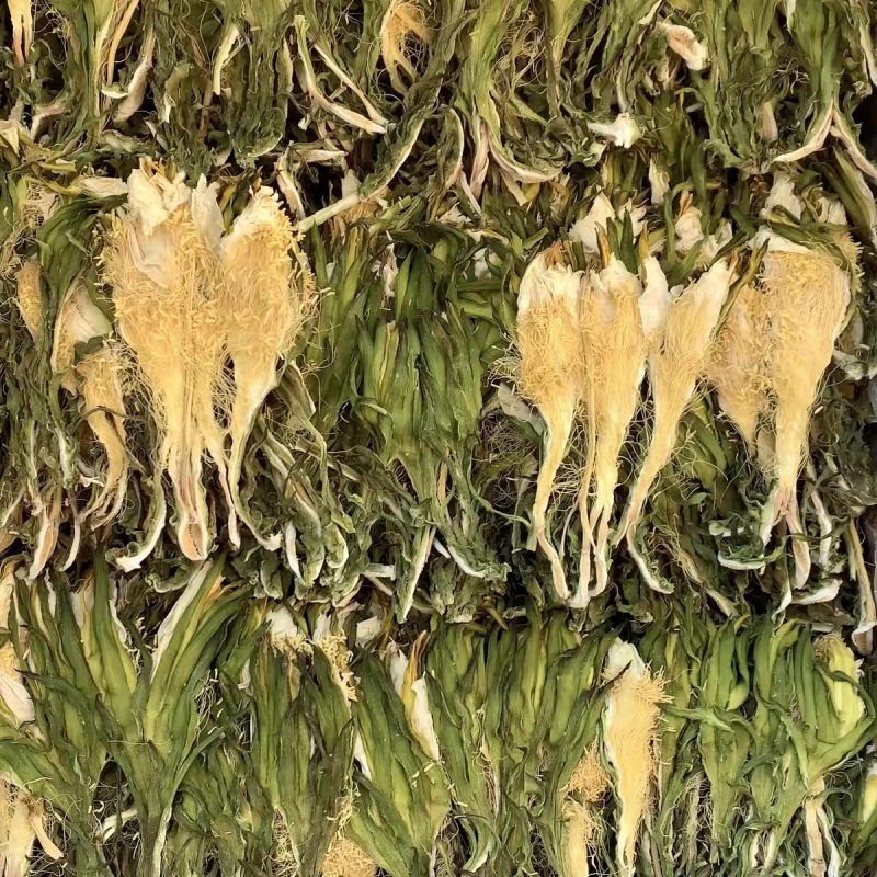 霸王花新货无硫熏七星剑花大货供应诚信经营