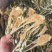 霸王花新货无硫熏七星剑花大货供应诚信经营