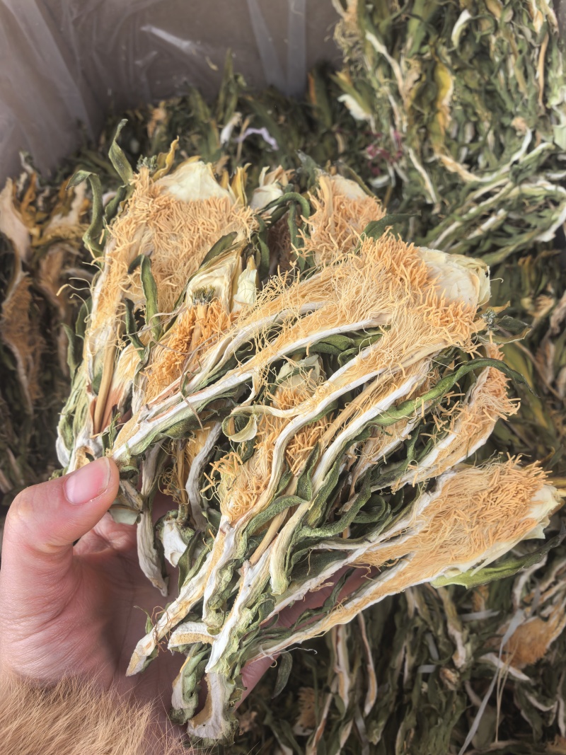 霸王花新货无硫熏七星剑花大货供应诚信经营