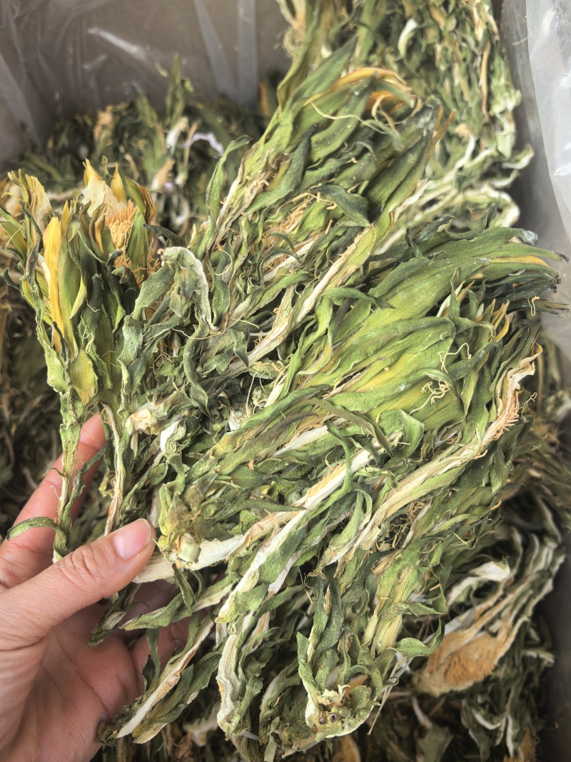 霸王花新货无硫熏七星剑花大货供应诚信经营