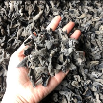 东北精品黑木耳小碗耳价格优惠欢迎采购