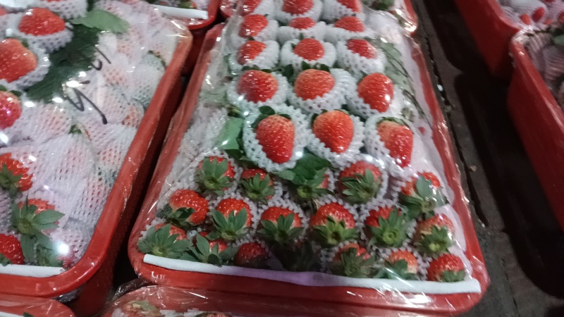 成都红颜巧克力草莓四川产地供货对接批发商超欢迎咨询