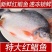 红鲳鱼批发鲜活新鲜冷冻一整箱昌鱼大鲳鱼鲜活速冻