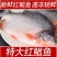红鲳鱼批发鲜活新鲜冷冻一整箱昌鱼大鲳鱼鲜活速冻