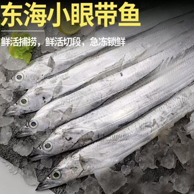 正宗国产油带鱼中段冷冻小眼无冰新鲜海鲜野生东海水产
