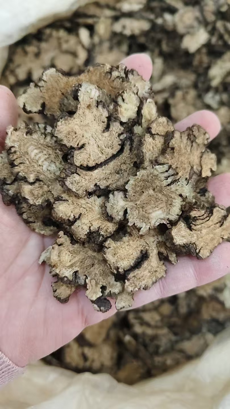 川芎各种大货各种规格，需要的老板可以直接下单哦