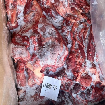 腱子