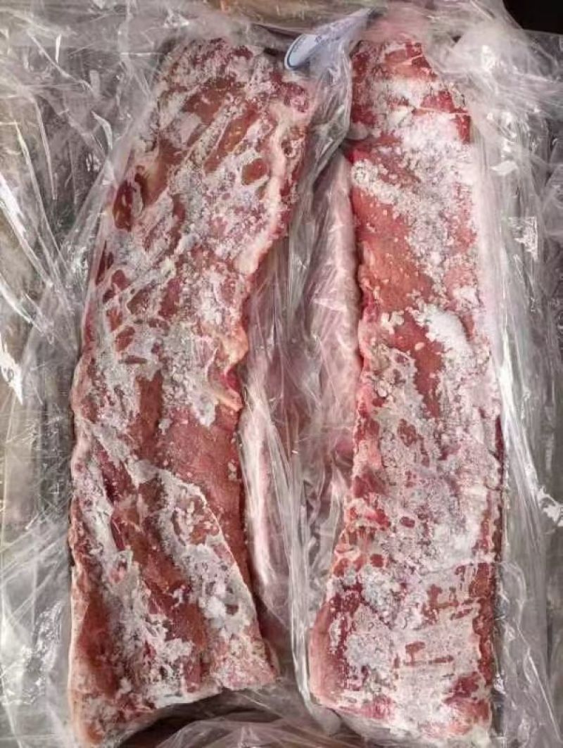龙骨，脊骨