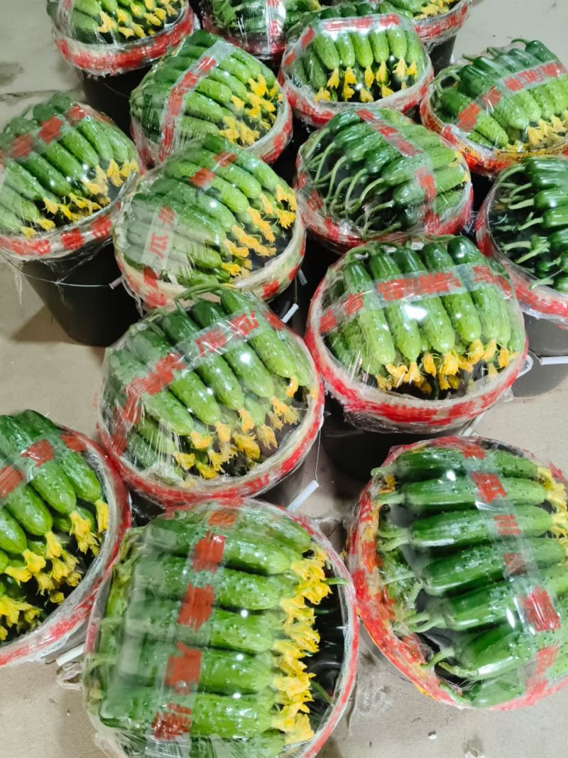 专做精品