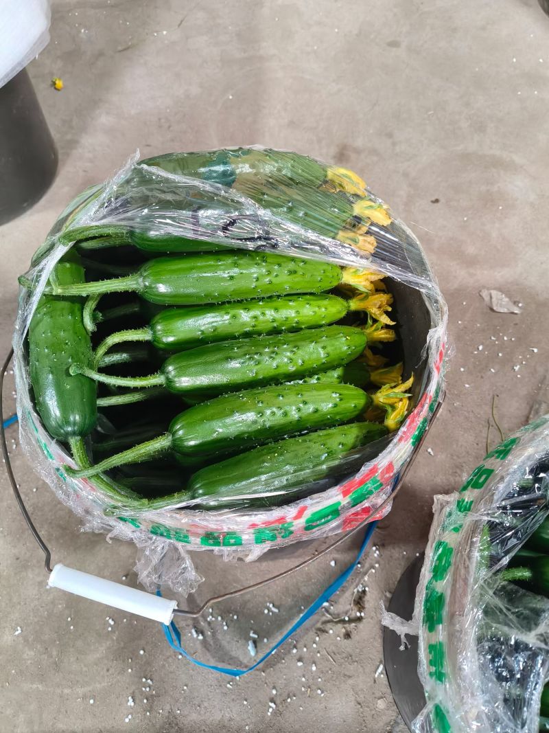 专做精品