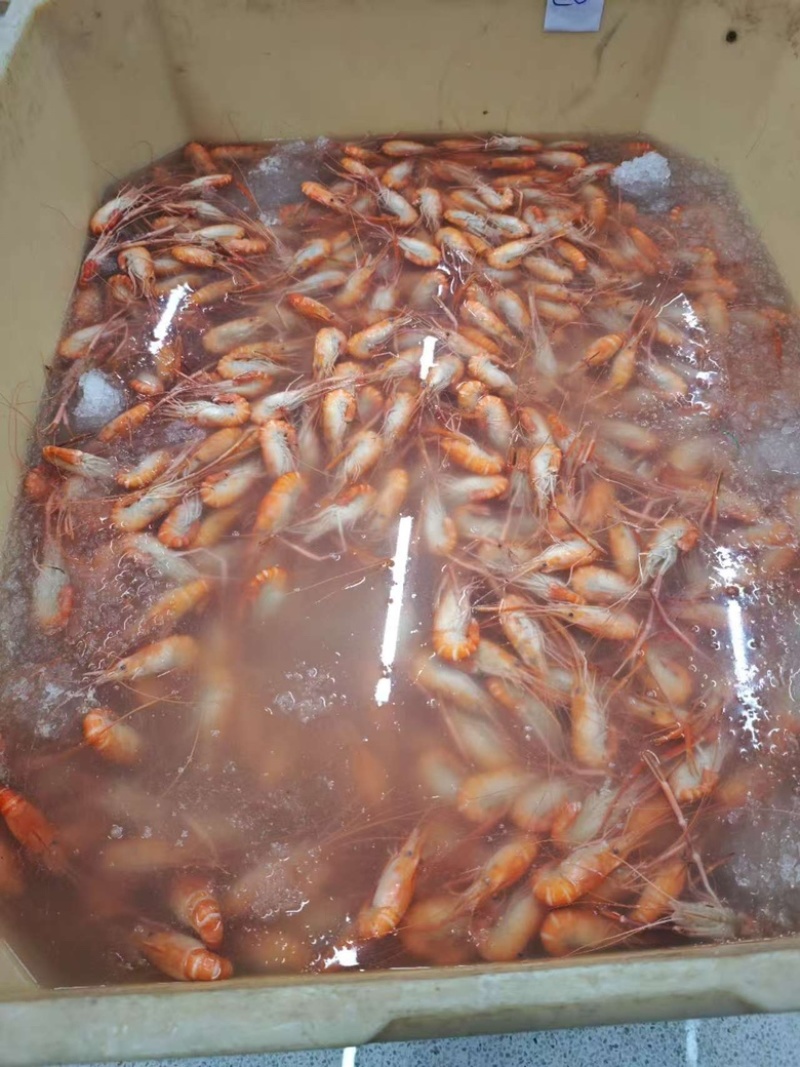 熟冻罗氏虾，越南工厂一手货源，需要的带上规格数量来谈