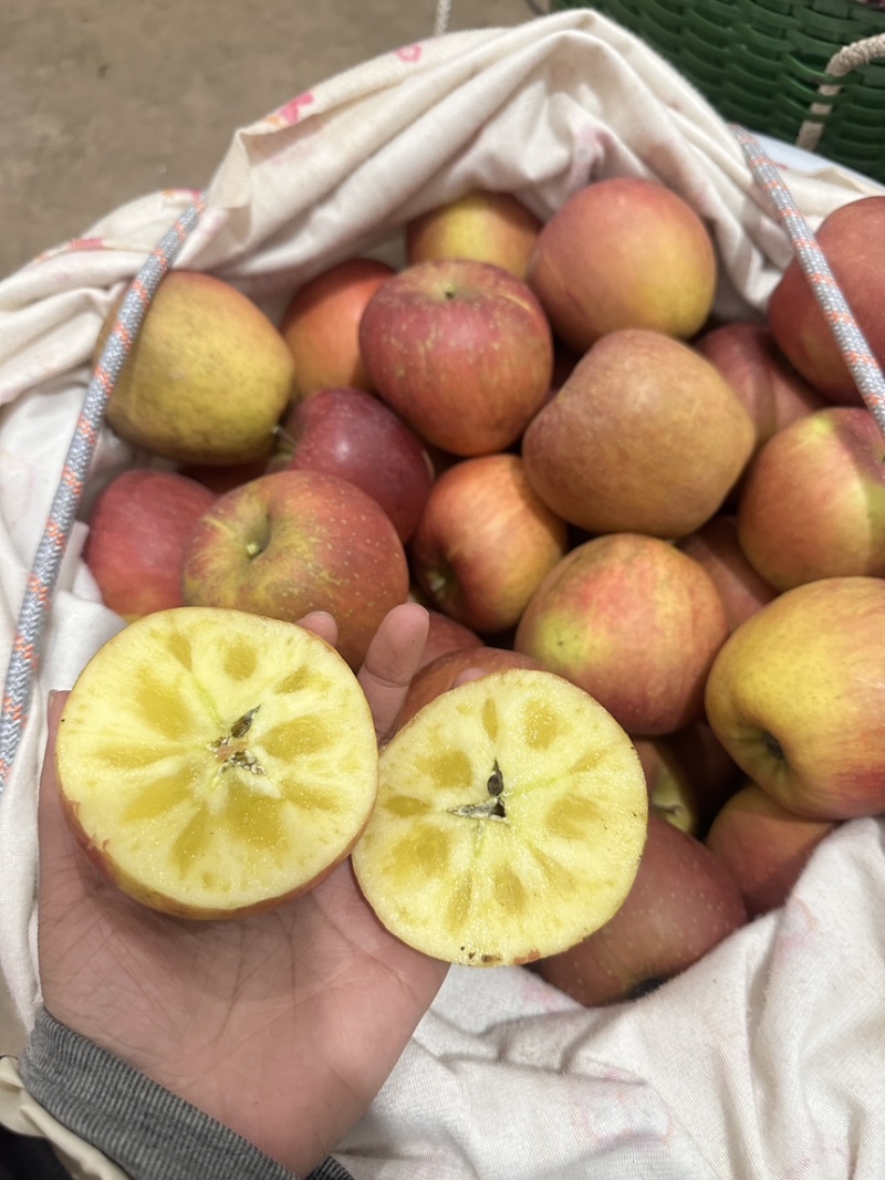 云南昭通糖心苹果