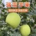 瑞雪苹果可视频看货,一级市场,精装,粗装,联系大量上市,