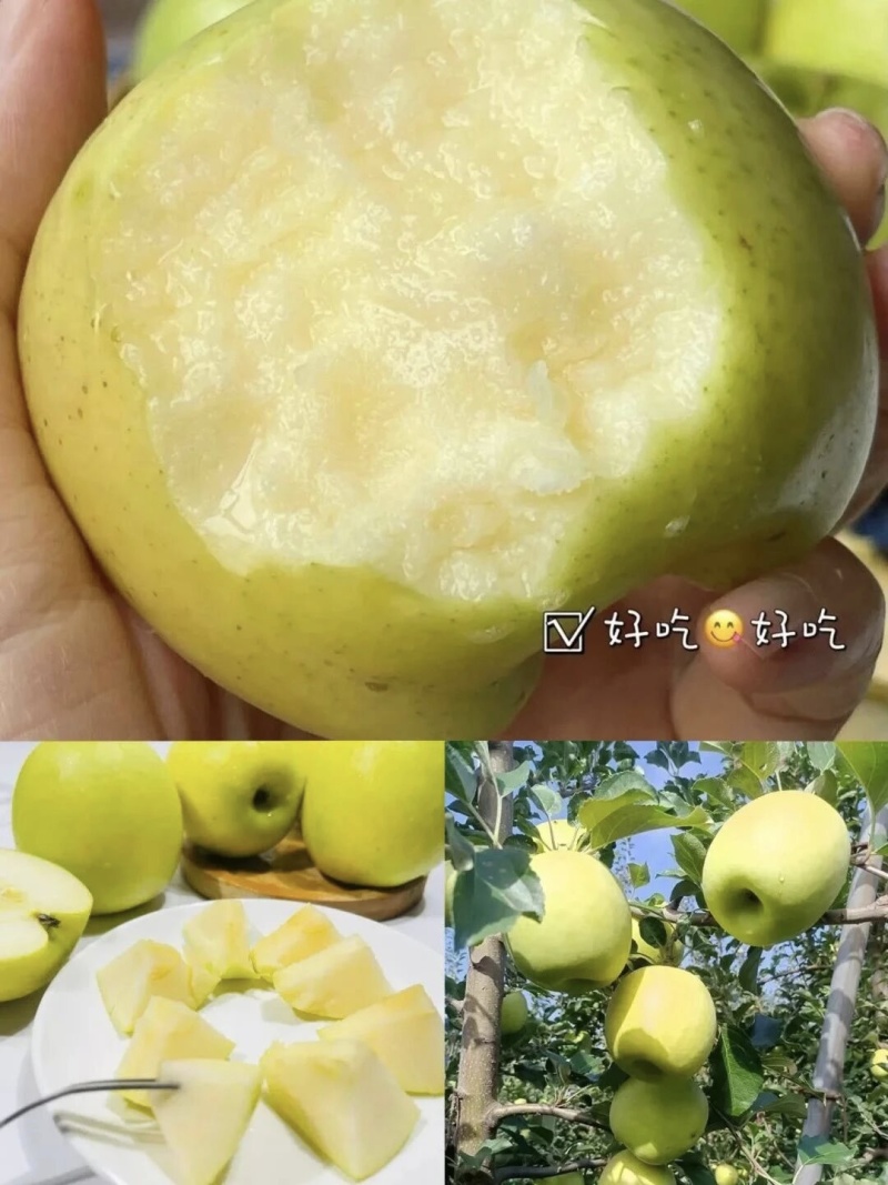 瑞雪苹果可视频看货，一级市场，精装，粗装，联系大量上市，