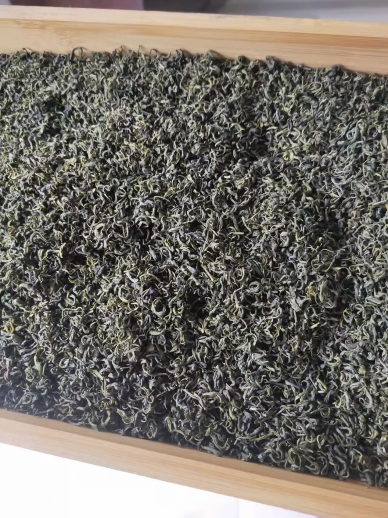 马边彝族自治县高山绿茶自产自销卷毛峰口粮茶