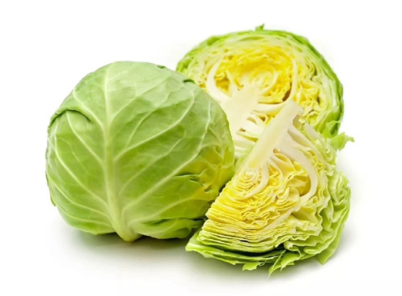 江苏东台包菜/甘蓝/紫甘蓝