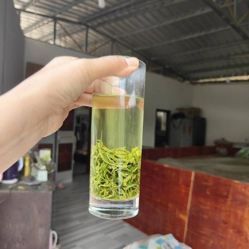 马边彝族自治县高山绿茶自产自销卷毛峰口粮茶