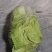 窖藏玉菜大量上市中