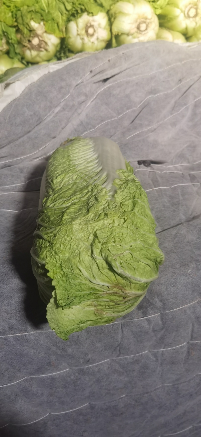 窖藏玉菜大量上市中