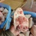 小肘子，肉质紧实，胶质更细腻，适合卤肉店，中餐厅，大排档