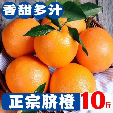新鲜橙子现摘当季脐橙薄皮甜橙应季水果脐橙批发
