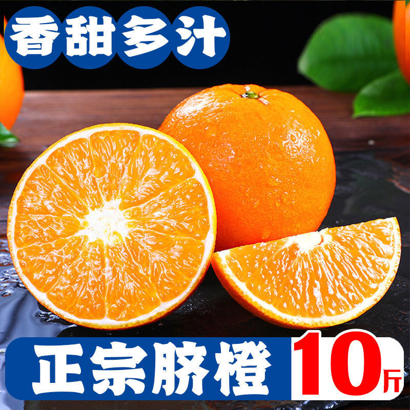新鲜橙子现摘当季脐橙薄皮甜橙应季水果脐橙批发