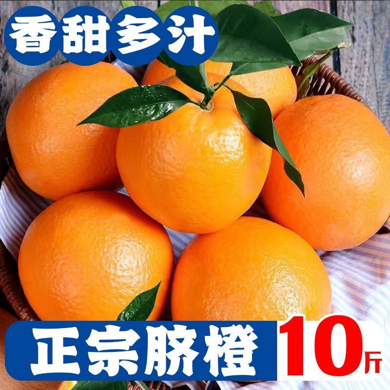 新鲜橙子现摘当季脐橙薄皮甜橙应季水果脐橙批发
