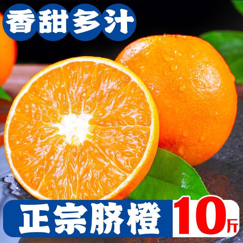 新鲜橙子现摘当季脐橙薄皮甜橙应季水果脐橙批发