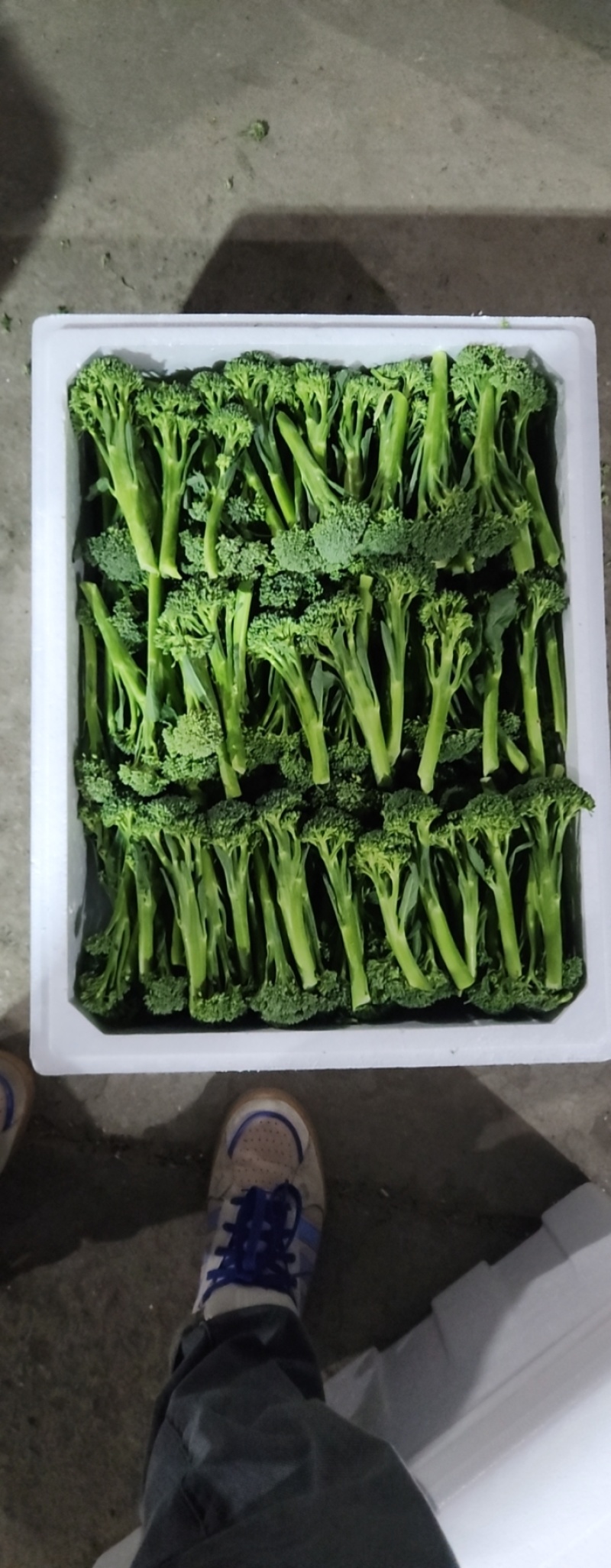 西兰苔基地直供，高端食材！！！！！！
